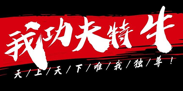 我功夫特牛手游