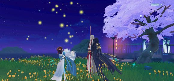 花与剑