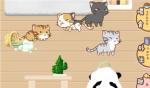 猫宅97好感度怎么提升