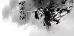 烟雨江湖救命锦囊支线任务怎么做 烟雨江湖救命锦囊支线任务攻略
