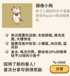 动物餐厅摄像小狗怎么招揽