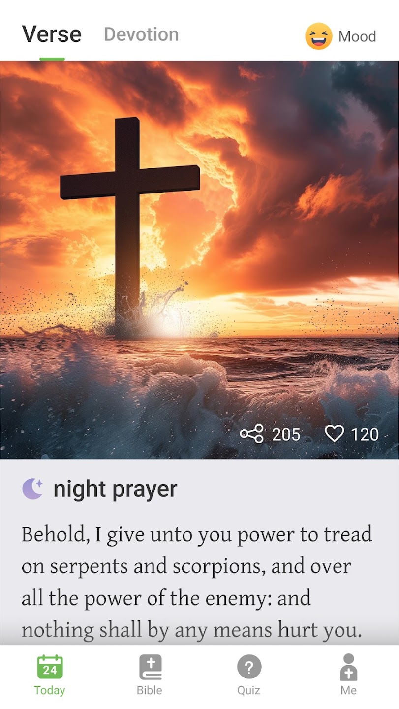 king james bible截图