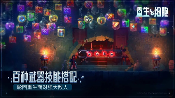 重生细胞官方版截图