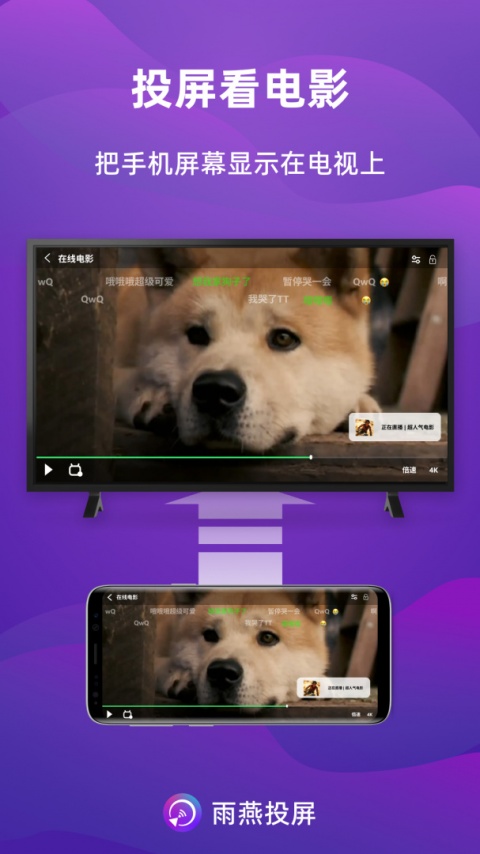 雨燕投屏tv版截图