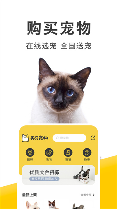 买只宠物安卓版截图