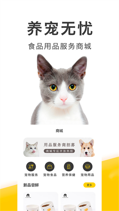 买只宠物安卓版截图