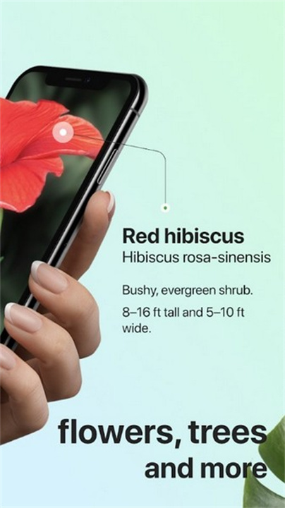 PictureThis截图