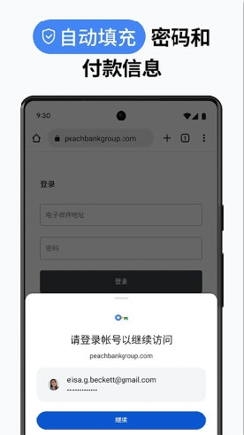 Chrome Canary金丝雀版截图