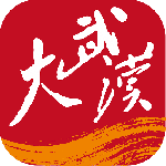 大武汉app手机版